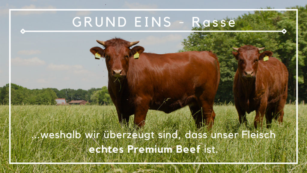 Hof große Beilage - Premium Rindfleisch vom Harzer Roten Höhenvieh